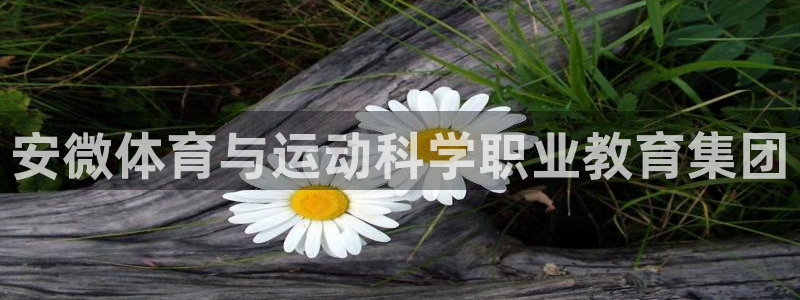k1体育十年品牌：安微体育与运动科学职业教育集团