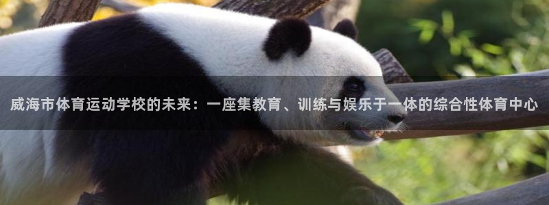 k1体育平台下载：威海市体育运动学校的未来：一座集教育、训练与娱乐于一体的综合性体育中心