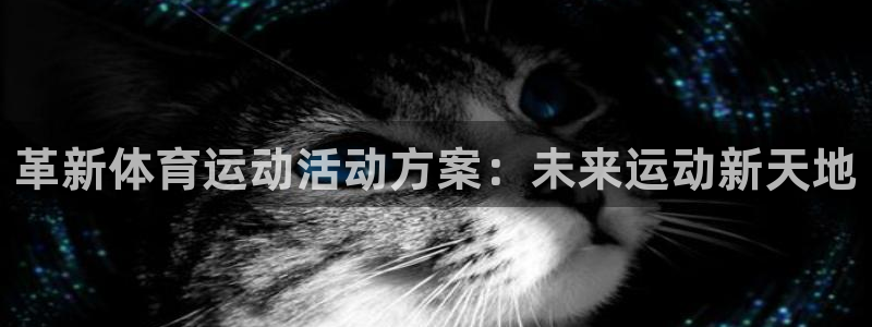 k1体育下载链接：革新体育运动活动方案：未来运动新天地