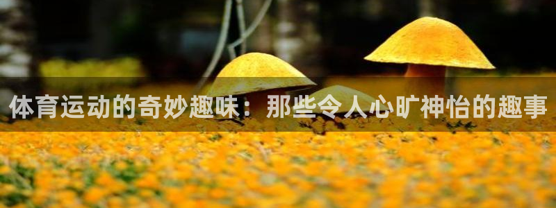 k1体育平台3915：体育运动的奇妙趣味：那些令人心旷神怡的趣事