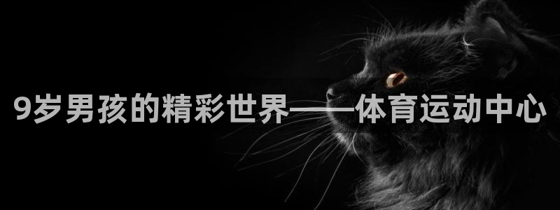 k1体育链接多少：9岁男孩的精彩世界——体育运动中心