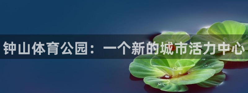 k1体育棋牌网址：钟山体育公园：一个新的城市活力中心